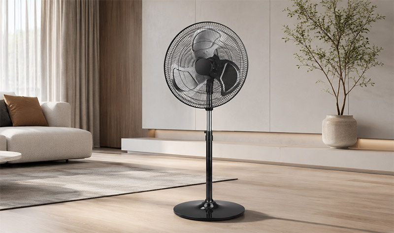 fan-